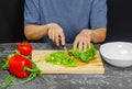 Female hands cut green lettuce leaves on cutting board with knife for preparing vegetarian food Royalty Free Stock Photo