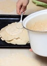 Female hands filling pie on baking dish Royalty Free Stock Photo