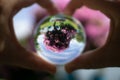 Female hands in the form of heart holding large crystal ball.