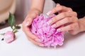 Female hands with french manicure, pink and white gel polish, peony Royalty Free Stock Photo