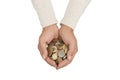 Female hands full of various coins