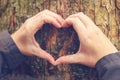 Female hands gesturing heart sign on tree trunk, ecology concept