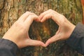 Female hands gesturing heart sign on tree trunk, ecology concept