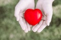 Female hands giving red heart on blurred background - retro tone Royalty Free Stock Photo