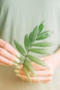 Female hands with green manicure holding palm leaf.