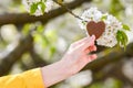 Female hands heart shape on nature green bokeh sun light flare and blur leaf abstract background. Happy love and freedom concept. Royalty Free Stock Photo