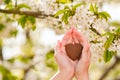 Female hands heart shape on nature green bokeh sun light flare and blur leaf abstract background. Happy love and freedom concept. Royalty Free Stock Photo