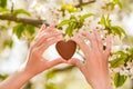Female hands heart shape on nature green bokeh sun light flare and blur leaf abstract background. Happy love and freedom concept. Royalty Free Stock Photo