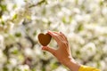 Female hands heart shape on nature green bokeh sun light flare and blur leaf abstract background. Happy love and freedom concept. Royalty Free Stock Photo