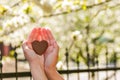 Female hands heart shape on nature green bokeh sun light flare and blur leaf abstract background. Happy love and freedom concept. Royalty Free Stock Photo