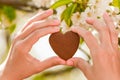 Female hands heart shape on nature green bokeh sun light flare and blur leaf abstract background. Happy love and freedom concept. Royalty Free Stock Photo