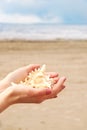 Female hands hold a beautiful cockleshell in the palms against the background of the sandy beach and the water of the