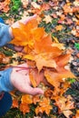 Female hands hold colorful maple autumn leaves in the forest Royalty Free Stock Photo