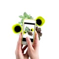 Female hands hold mobile phone take photo of home garden. Hobby gardener. Insulation. Stay home concept. Square format