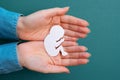Female hands hold a paper-cut silhouette of a fetus. Green background. Flay lay. Close up. Concept of artificial insemination and Royalty Free Stock Photo