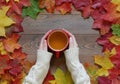 Female hands hold a red cup with green tea on a wooden table with maple leaves Royalty Free Stock Photo