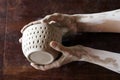 Female hands hold a wet clay bowl. Pottery making