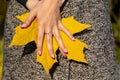 Female hands hold yellow maple leaf between palms showing manicure and ring. Royalty Free Stock Photo