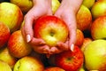 Female Hands Holding Apple