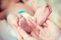 Female hands holding baby feet Royalty Free Stock Photo