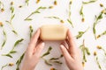 Female hands holding bar of soap. Flowers of calendula and bar of natural soap, on white background