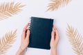 Female hands holding black notebook among golden palm branches Royalty Free Stock Photo