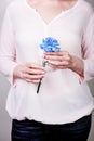 Female hands holding blue carnation flower on pink background. Natural manicure with triangles pattern Royalty Free Stock Photo