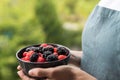 Female hands holding a bowl full of blackberries and raspberries Royalty Free Stock Photo