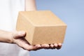 Female hands holding brown rectangular cardboard box on light blue background. Mockup parcel box. Packaging, shopping