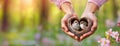 Female hands holding a cozy heart shaped nest with two sparrow birds inside their home. Holiday background for