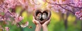 Female hands holding a cozy heart shaped nest with two sparrow birds kiss inside their home. Holiday background for