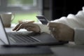 Female hands holding credit card and using laptop. Online shopping Royalty Free Stock Photo