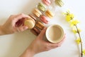 Female hands are holding a cup of coffee with macarons. White backgrounds with branches of forsythia flowers. Flat lay