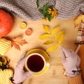 Female hands holding a cup of hot tea or coffee, autumn flat in the Scandinavian hugg style, with yellow leaves, cozy knitwear, Royalty Free Stock Photo