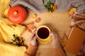 Female hands holding a cup of hot tea or coffee, autumn flat in the Scandinavian hugg style, with yellow leaves, cozy knitwear,