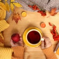 Female hands holding a cup of hot tea or coffee, autumn flat in the Scandinavian hugg style, with yellow leaves, cozy knitwear, Royalty Free Stock Photo