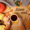 Female hands holding a cup of hot tea or coffee, autumn flat in the Scandinavian hugg style, with yellow leaves, cozy knitwear, Royalty Free Stock Photo