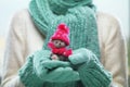 Female hands holding cute teddy bear. Woman hands in teal mittens showing teddy bear gift dresses in pink knitted hat and scarf.