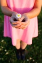 Female hands holding a daisy under a sunny day Royalty Free Stock Photo