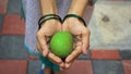 Female hands holding a fresh raw green mango in India. Royalty Free Stock Photo