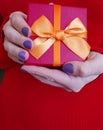 Female hands holding a gift box decoration Royalty Free Stock Photo