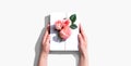 Female hands holding a gift box with pink roses Royalty Free Stock Photo