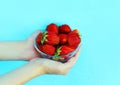 Female hands holding handful of strawberries close-up Royalty Free Stock Photo