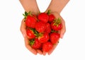 Female hands holding handful of strawberries close up. Royalty Free Stock Photo