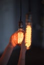 Female hands holding a large incandescent lamp in the studio