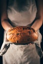 Female hands holding loaf of homemade rye bread with raisin on towel. Concept for bakery poster or cover Royalty Free Stock Photo