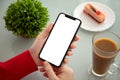 Female hands holding phone with isolated screen in a cafe Royalty Free Stock Photo