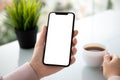 Female hands holding phone with isolated screen in summer cafe Royalty Free Stock Photo