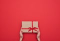 Female hands holding present box package in the palms Royalty Free Stock Photo