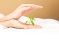 Female hands holding and protecting a small plant Royalty Free Stock Photo